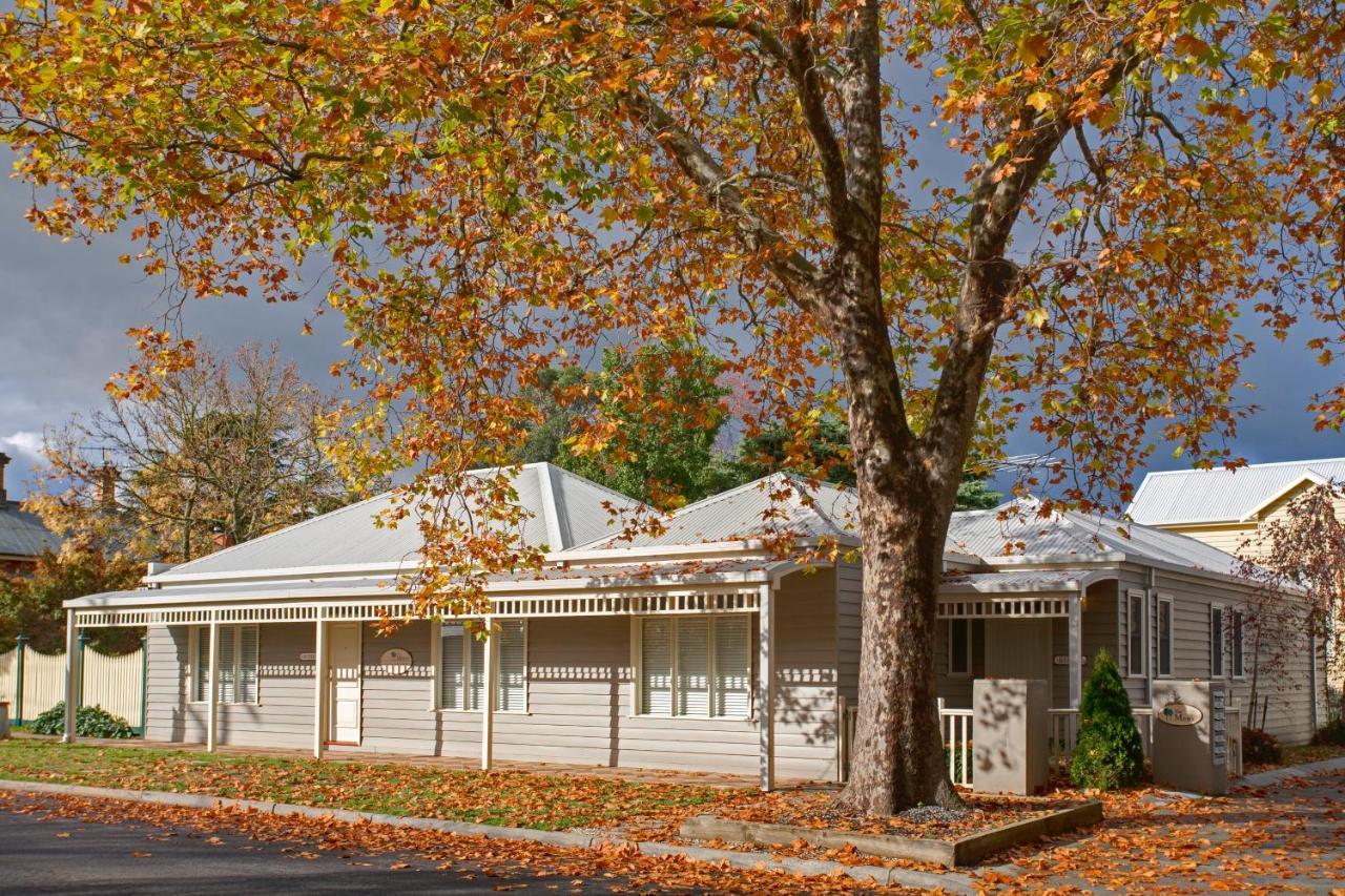 Mews Cottages Gisborne Kültér fotó